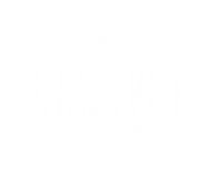 chauvet-profesional2